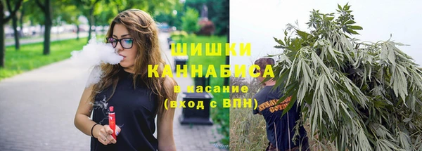 гидра Алексеевка